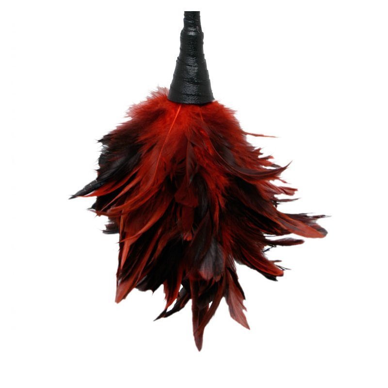 Pluma Estimuladora Roja Fetish Fantasy