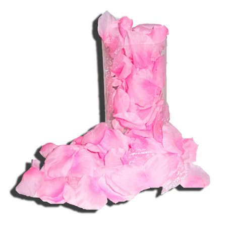 Pétalos de Rosa Rosa