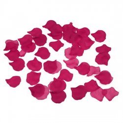 Pétales rose Fuchsia