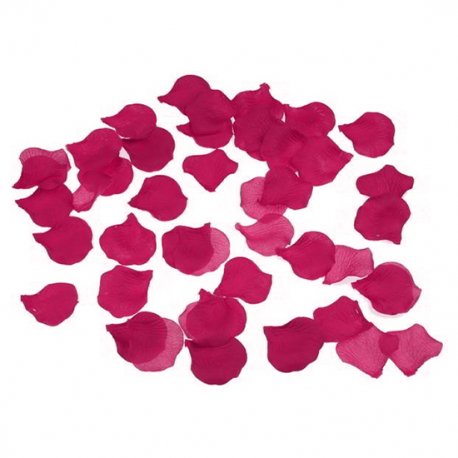 Pétalos de Rosa Color Fucsia