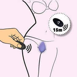 Panty Vibe Feelztoys Remoto Negro
