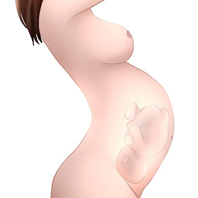 El sexo durante el embarazo es seguro para el bebé.
