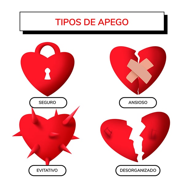 Tipos de apego adultx