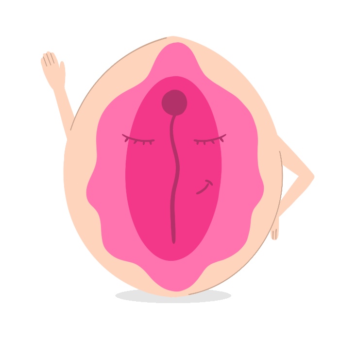 Penes y vulvas felices Penes y vulvas felices