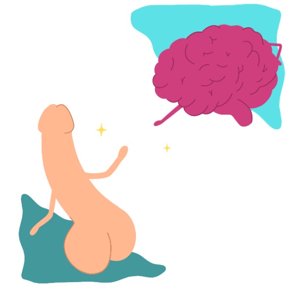 Pene y cerebro conectados