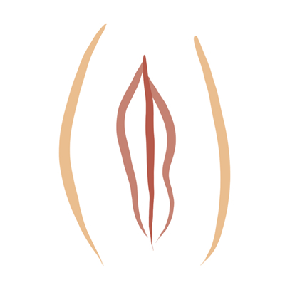 Vulva tipo tulipan Vulva tipo tulipan