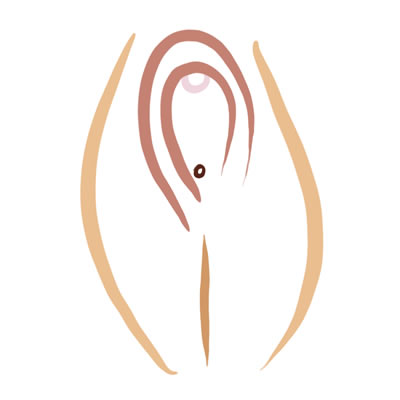 Vulva tipo herradura Vulva tipo herradura