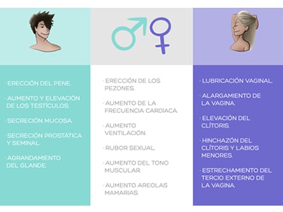 Excitación hombres y mujeres