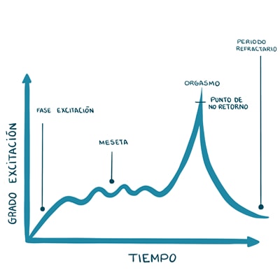 Respuesta sexual del hombre