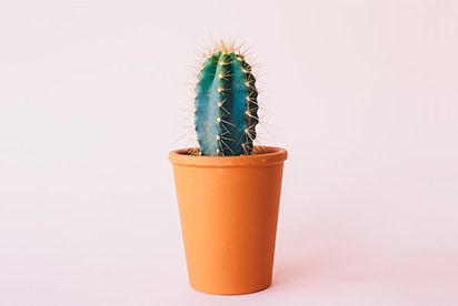 Los secretos de la estimulación masculina