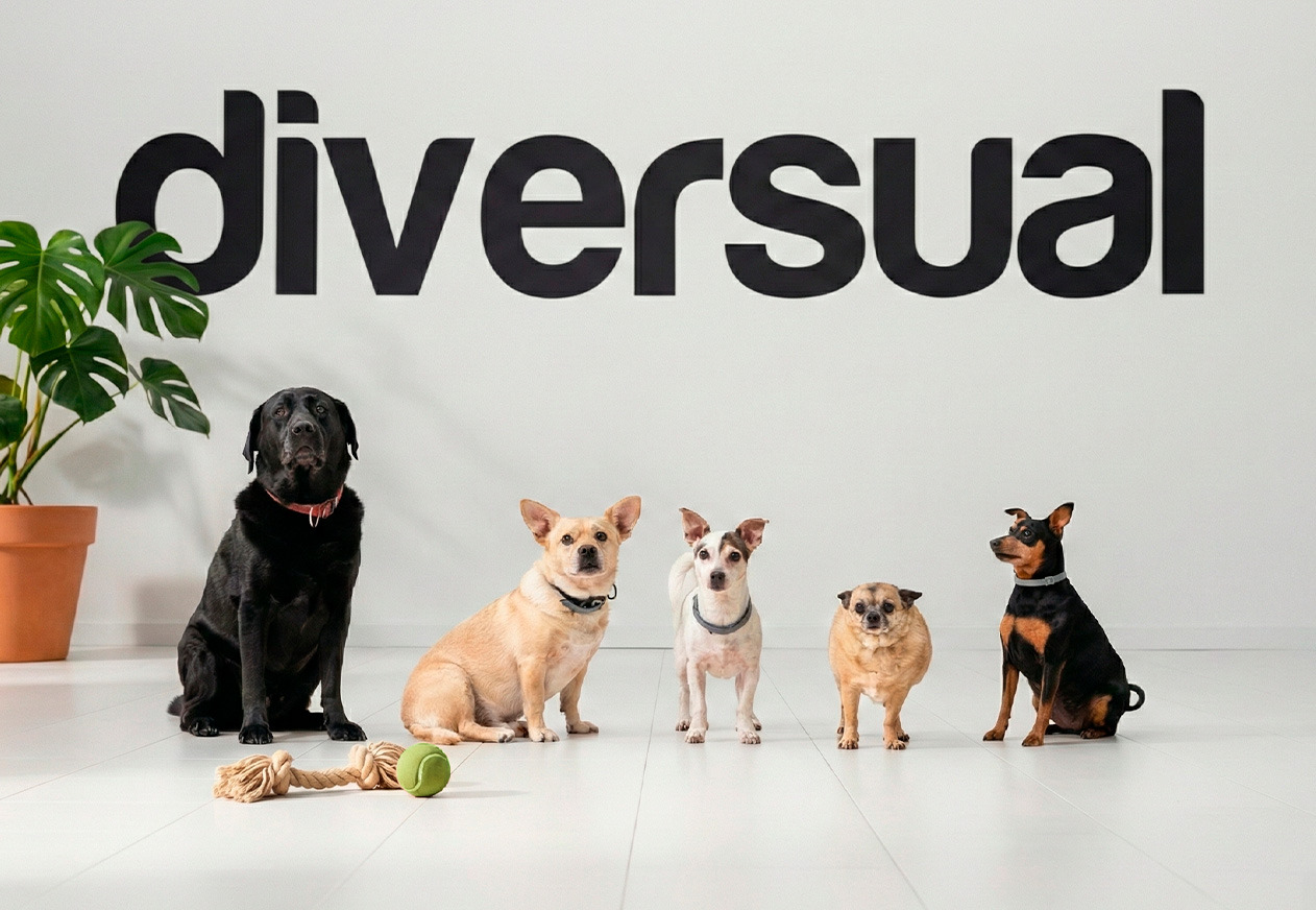 Diversual, una oficina pet friendly