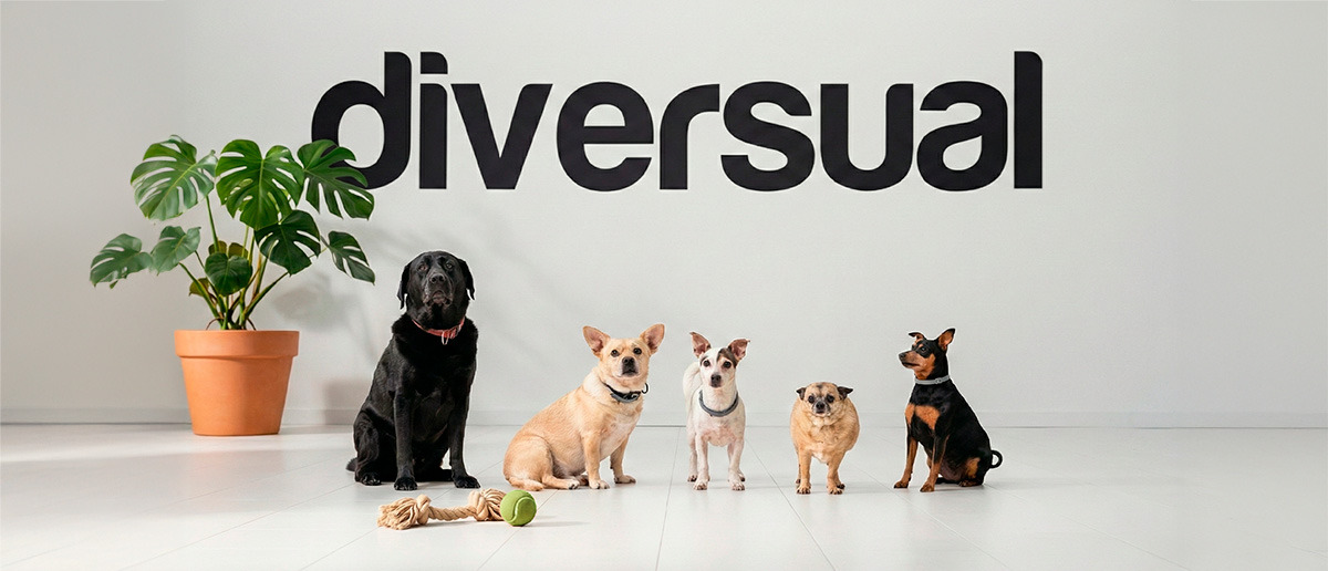 DIVERSUAL, UNA OFICINA PET FRIENDLY DIVERSUAL, UNA OFICINA PET FRIENDLY
