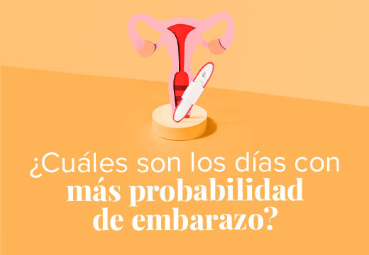 Días con más probabilidad de embarazo, ¿cúales?