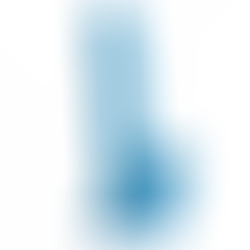 Dildo Realístico con Testículos 16,5 cm Azul