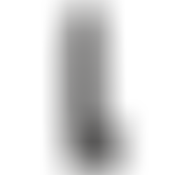 Dildo Model 1 38 cm Negro