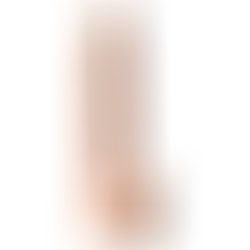 Dildo Model 1 38 cm Flesh