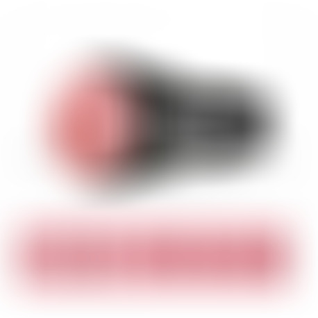 Fleshlight Rosa Lady Mini Lotus Vagina