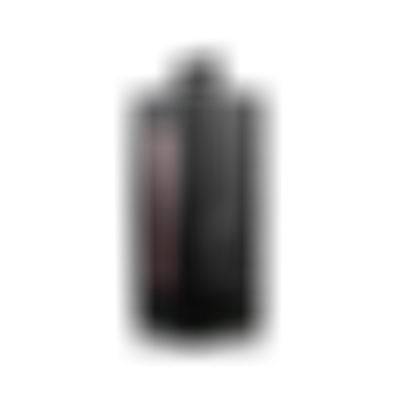 Fleshlight Rosa Lady Destroya Vagina