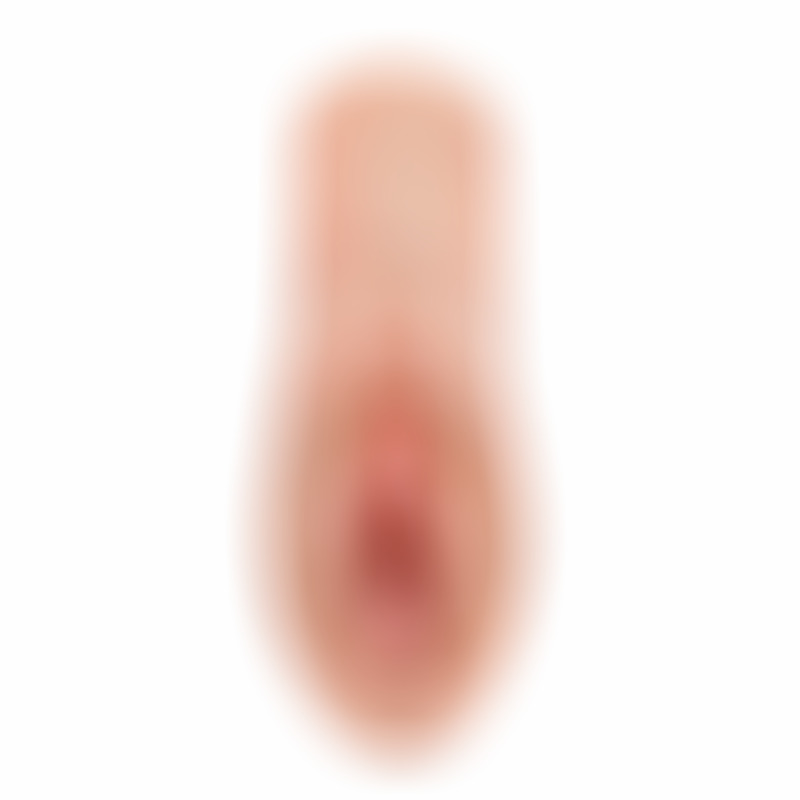 Perfect Pussy Dream Stroker Light