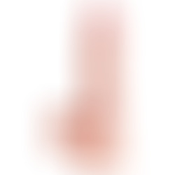 Dildo con Testículos Triple Densidad 19 cm