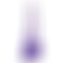 Dildo con Testículos 19 cm Morado