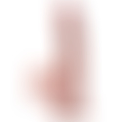 Plus 3d Dildo Swinging Balls 24.5 cm Natural