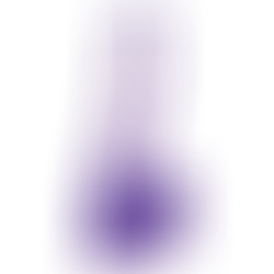Pene con Testículos Morado 13.5 cm