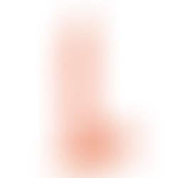 Pene Realístico Jayson 21 cm