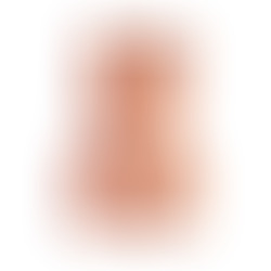 Torso Masturbador Vibrador Vagina y Ano
