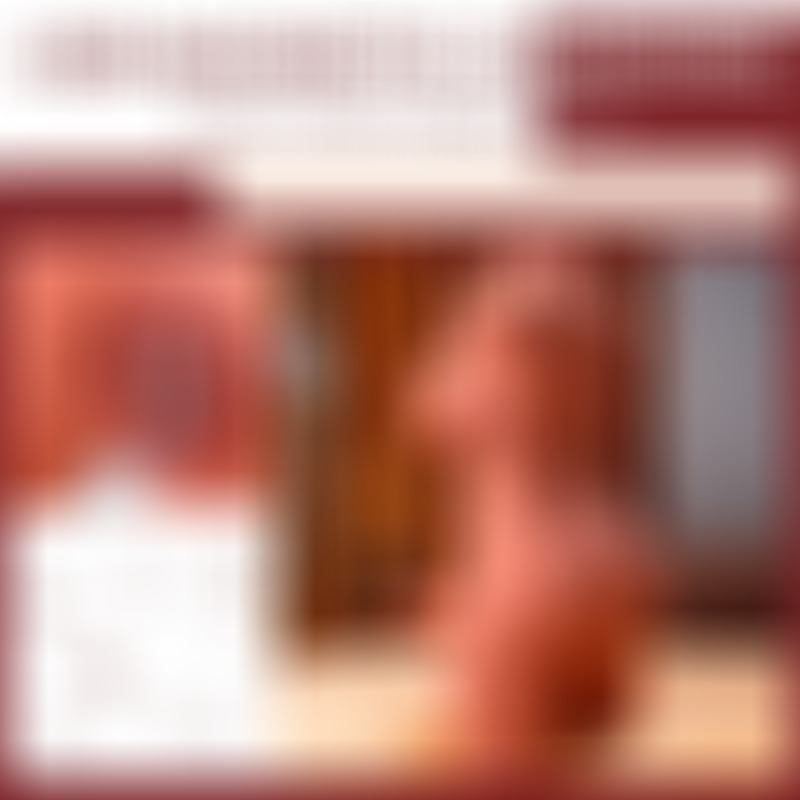 Miah Lady Boy Torso Femenino con Dildo con Vibración y Thrusting