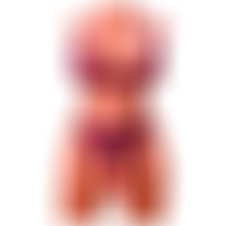 Miah Lady Boy Torso Femenino con Dildo con Vibración y Thrusting