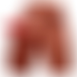 Jason Masturbador Dildo Realístico con Thrusting y Vibración