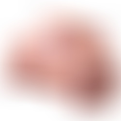 Fennie Shaking Masturbador Vagina y Ano Realístico con Vibración