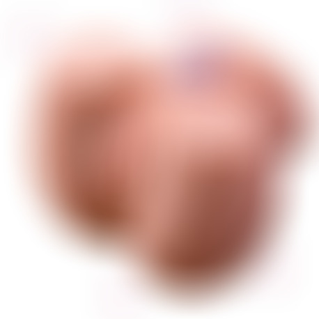 Connie Trasero Masturbador Vagina y Ano Realístico con Vibración