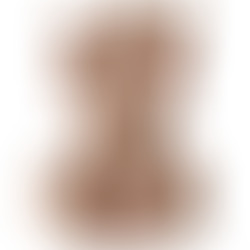 Helena Torso Realístico Femenino Natural