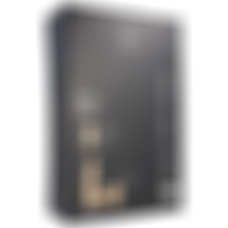 Up & Down Realistic Vibrator R14 Black Remote Control