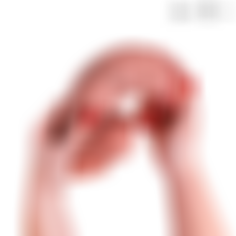 Big Pene Spencer Dildo