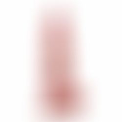 Dildo Realista Spencer Medium