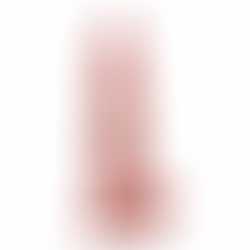 Small Spencer Dildo Realista