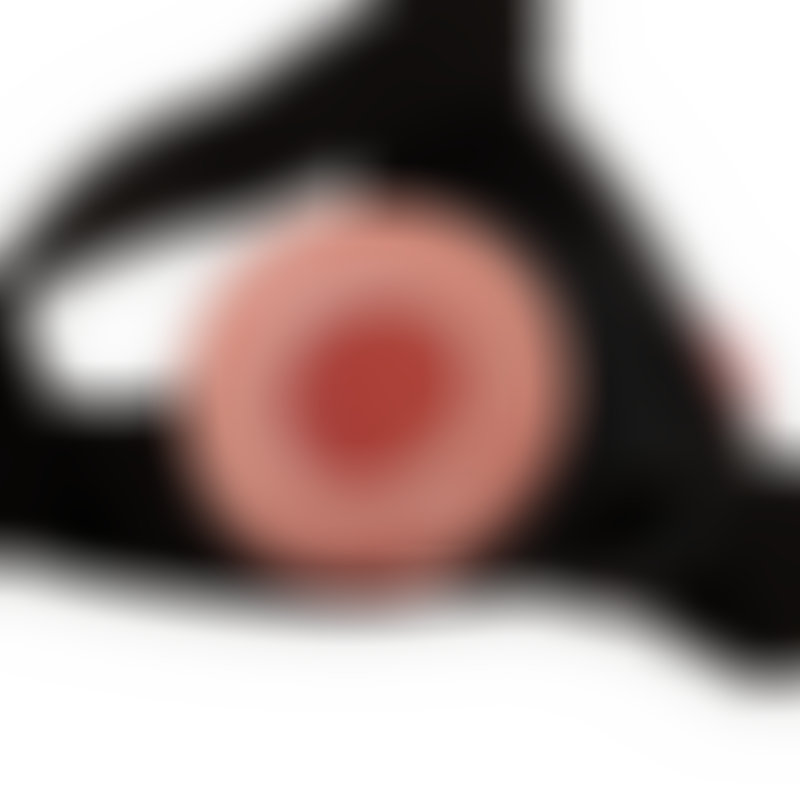 Arnés Hueco con Dildo 16 X 3