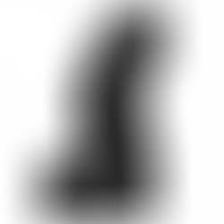 Dildo Realista Dong Negro 17 cm
