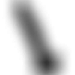Pene Realístico Negro 17.5 cm