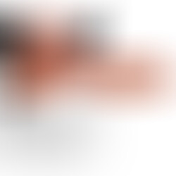 Pene Realístico con Arnés 19 cm