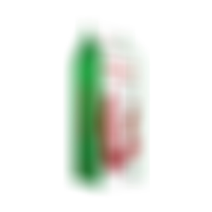 Arnes Doble Penetracion sin Correas con Vibrador