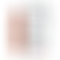 Extension Para el Pene Perfect 1