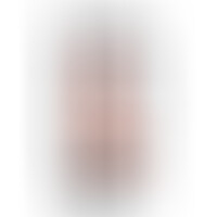 King Cock Pene Realístico Vibrador 20 cm