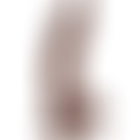 King Cock Pene Realístico con testículos 23 cm Marrón