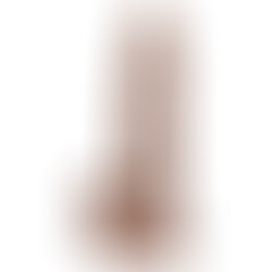 Mr Intense 10 Pene Realístico 18 cm