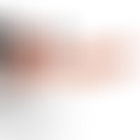 Pene Realístico con Arnés Hueco 24 cm