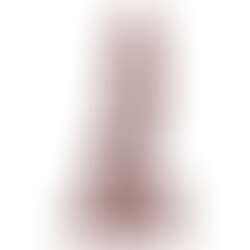 Pene realístico 25 cm